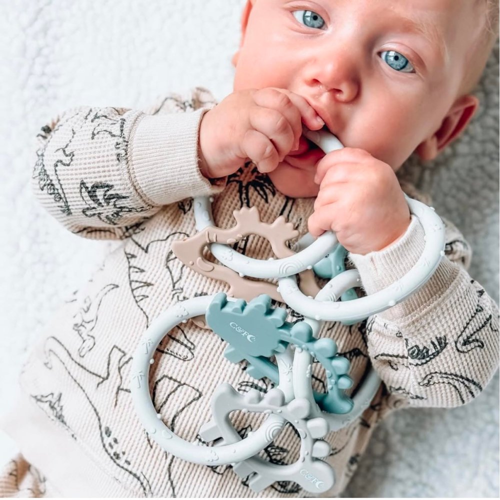 Dino Links Teether - Petite & Sassy Designs