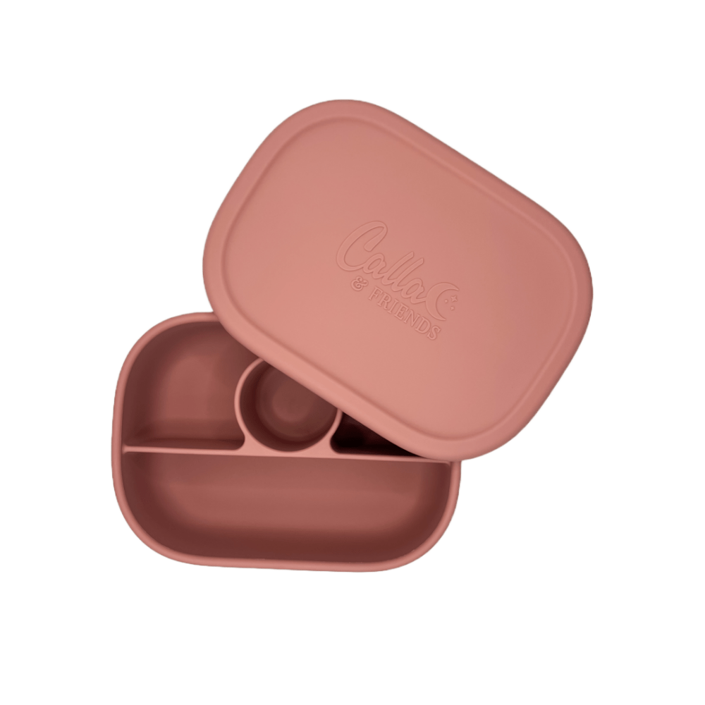 Hayden Bento Box - Petunia Pink - Petite & Sassy Designs