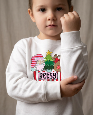 Custom Name Santa Reindeer Shirt