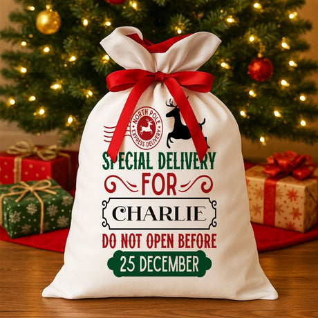 Personalized Special Delivery Gift Bag - Petite & Sassy Designs